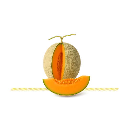 Japanese Melon